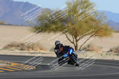 media/Feb-04-2023-SoCal Trackdays (Sat) [[8a776bf2c3]]/Turn 4 (Tree of Life 2pm)/